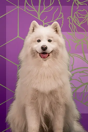 Picture of Sammie Bakker